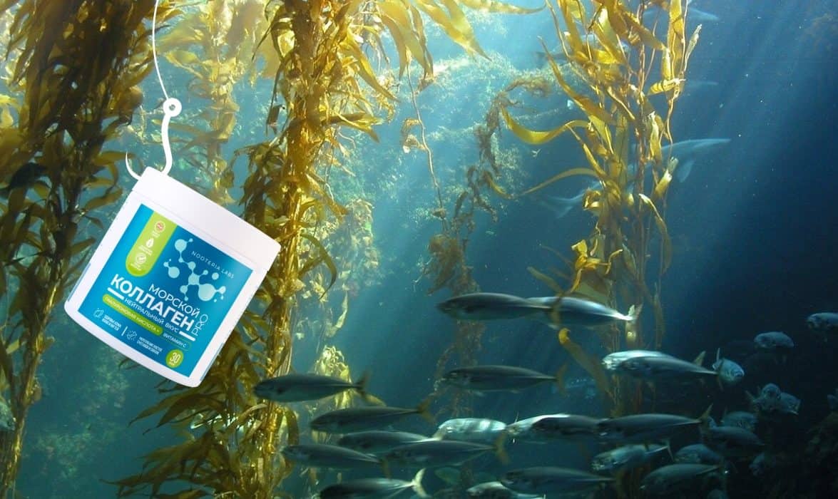 Почему Nooteria Labs перевыпустила морской коллаген после старта